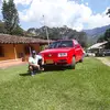 Wilson Pelaez - @wilson.pelaez8 - TikTok