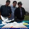 Wilson Pelaez - @wilson.pelaez - TikTok