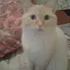 Wilson Rowe Jr. - @kaylin200246 - TikTok