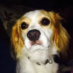 Tobi Wilson Saunders - @tobi_w_saunders - Instagram