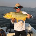 Wilson Schmidt - @wilson.schmidt.3726 - Instagram
