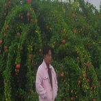 Thokchom Wilson singh - Facebook