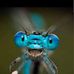 Wilson Turner - Facebook