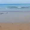 Wilson Vera - @wilson.vera2 - TikTok