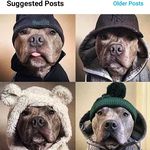 Stone - @mr.wilsonwise - Instagram