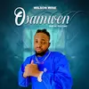 wilson wise - @wilsonwisemusic - TikTok