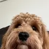 Wilson Wise - @wilsonwise1 - TikTok