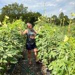 Wilson Wise Farms - @wilsonwisefarms - Instagram