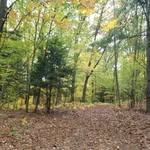 Erin Wilson - @wilsonwoodssaugatuck - Instagram