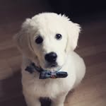 Wilson Wright - @wilsons.world1 - Instagram