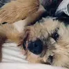 wilsonwright781 - @wilsonwright781 - TikTok