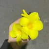 Alex - @winchochoaye1 - TikTok