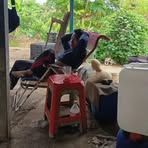 Win Aye - Facebook