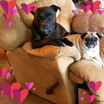 Windi Grant Brown - @windigrantbrown - Instagram