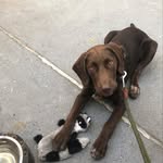 Button Windsor Wilson - @cuteasabutton418 - Instagram