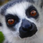 WindyBrown - @windybrown2018 - Instagram