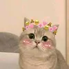 Windy Lee🌷 - @wndylstri_ - TikTok