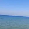 Winifred Booker - @winifredbooker2954 - TikTok