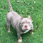 Winfred Fowler - @winfred.fowler - Instagram