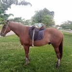 winfred  erick ruyange - @winfrederickruyange - Instagram