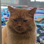 Winfred Frederick - Facebook
