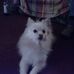 Winfred Hall - Facebook