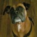 Winfred Jackson - Facebook
