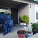 winfred johnson - @winfredlj1955 - Instagram