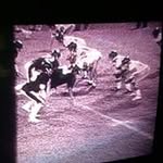 Winfred Wells - @winfredwells - Instagram