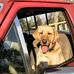 Winfred Wilson - Facebook