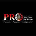 PRO Wing Chun Martial Arts - @terry.chiang.wing.chun - Instagram