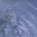 Wing Chiang - @wingnsylvia - Instagram