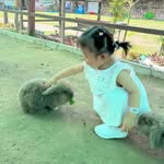 Wing Fung - @wingfung0502 - Instagram