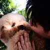 艾迪 - @winghsu3 - TikTok