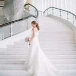 Wing Law - @lawingwingwing - Instagram