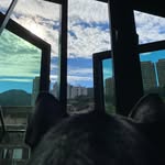 Wing Law - @wingtwlaw - Instagram