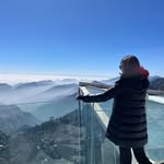 Wing Wing - @wing_winglou - Instagram
