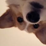 wing - @winglou_ - Instagram
