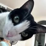 Wing Ki Pong - @pongpong25 - Instagram