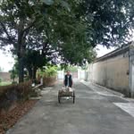 Wing Pong Will Kwong - @wingpongwill - Instagram