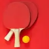 wingpong - @wingpong - TikTok