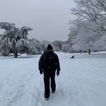 Wing Poon - @wingpoon53 - Instagram