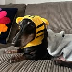 Wing Poon - @wingpoon1012 - Instagram