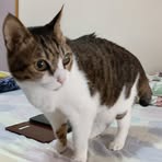Wing Poon - Facebook
