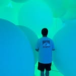 Wing Ho Shek - @hoshek06 - Instagram