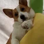 Wing Sze Shek - @wingsze_shek - Instagram