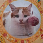 Wing Fat  Shum - @wingfatshum - Instagram