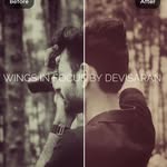 Wings in Focus | Devisaran Photography - @dsp_wingsinfocus_ - Instagram