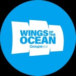 Wings of the Ocean - @wingsoftheocean - Instagram