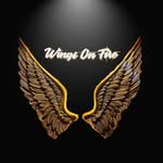 Wings On Fire - Vasai - @wingsonfire.vasai - Instagram